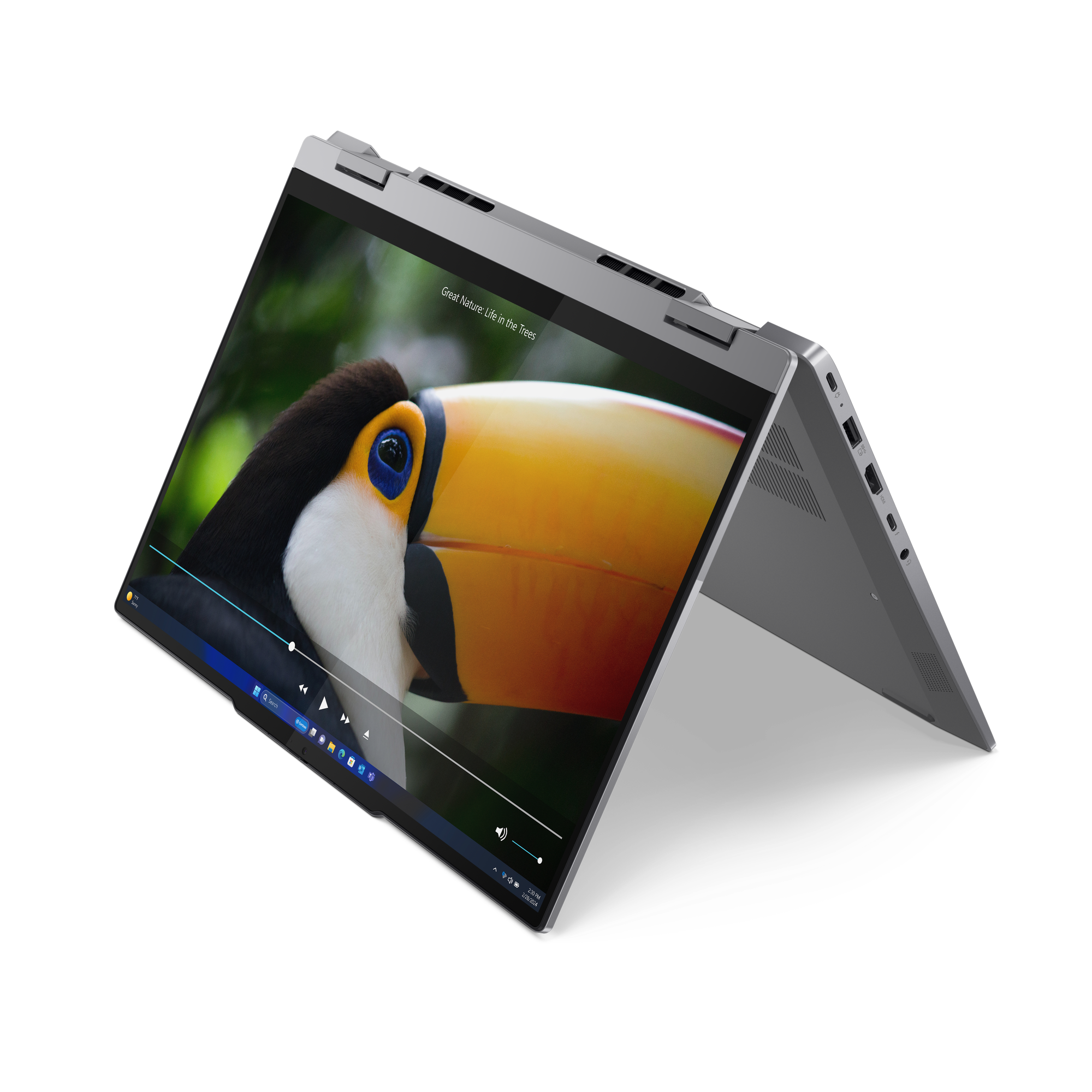 Zoomable Image