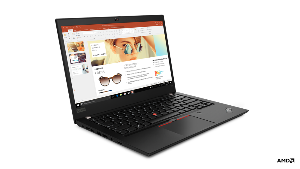 ThinkPad T495