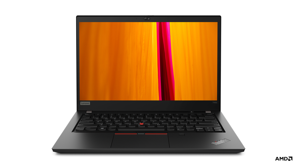 ThinkPad T495