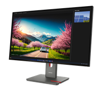 ThinkVision P32UD-40